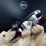 William Joy - @williamjoy5223 - Instagram