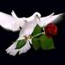 William Joy - Facebook