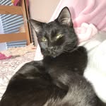 WILLY - @william_the_jumper - Instagram