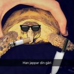 сука Блядь**** - @williamjunkergard - Instagram