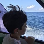 William Juul - @willy_juul - Instagram