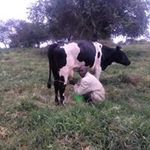 William Kabagye - @williamkabagye - Instagram