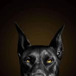 William Kabamba - @kabamba347 - Instagram