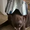 William Kadlec - @william.kadlec8 - TikTok