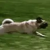 Willk937 - @williamkadlec - TikTok