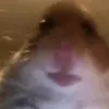 William Källberg - @willisk09 - TikTok