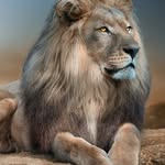 William Kamai - @william.kamai - Instagram