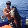 William Kamaialii Pe - @wildwill_dawg - TikTok