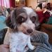 William Kamholz - Facebook