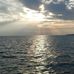 William Kaminski - Facebook