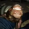 williamkamp12 - @williamkamp12 - TikTok