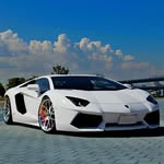 William Karagoz - @williamkaragoz - Instagram