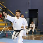 William_Karatê - @william_karate1 - Instagram