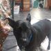 William Karakaris - Facebook