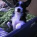 William Karakaris - Facebook