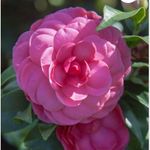 William Andrew Karalis - @naturepictures985 - Instagram