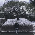 William Kee - @williamkee0919 - Instagram