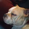 William Keel - @william.keel - TikTok