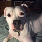 William Kerns - Facebook