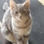 wyatt william kerns - @wyattwilliamkerns - Instagram