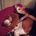 Bill Kershner - Facebook