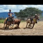 William Kevin - @williamkevin787 - Instagram