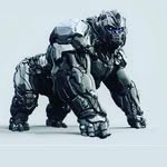 WILLIAM KEYES - @in_danger_species1 - Instagram