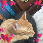 William Keyes - Facebook