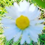 william james Alastair kidwell - @will.kidwell.photography - Instagram