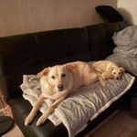 William R Kimery - @williamkimery - Instagram