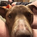 William Timothy Kindle - @willixiam.the.unknown.factor - Instagram