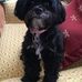 William Kinkade - Facebook