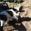 William Kirkpatrick - @william.kirkpatri1 - TikTok