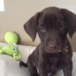 William Kirkpatrick - @william_kirkpatrick73 - Instagram