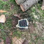 William Kish - @wlk_85 - Instagram