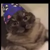 williamkittridge69 - @banana_man780 - TikTok