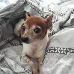 Victor William Klann - @vicklann - Instagram