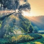 William Klein - @williamklein941694 - Instagram