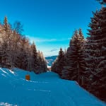 William klok drachmann - @williamklokdrachmann - Instagram