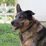 William Kluck - @kluckwilliam - Instagram