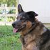 William Kluck - Facebook