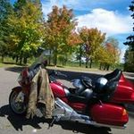 William Knibbs - @knibbsw - Instagram