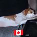 Bill Knoblauch - Facebook