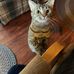 Bill Knopp - Facebook