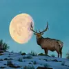 williamknott667 - @williamknott667 - TikTok
