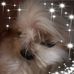 Sue Kochersperger - Facebook