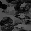Kolbee Williams - @kolbee.williams - TikTok