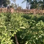 William Kosgei - Facebook