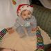 William Kot - Facebook