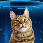 William Kotovsky - @william.kotovskiy - Instagram